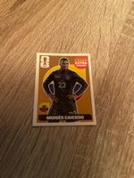 Panini coupe du monde 2026 extra Sticker Caicedo bronze