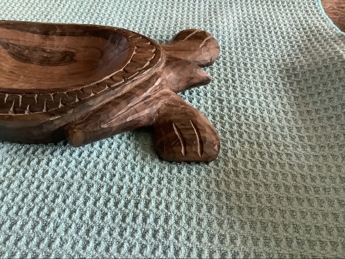Tutte le decorazioni: Schildkröten Schale – Usato da Zürich venduto da Albatros57 4