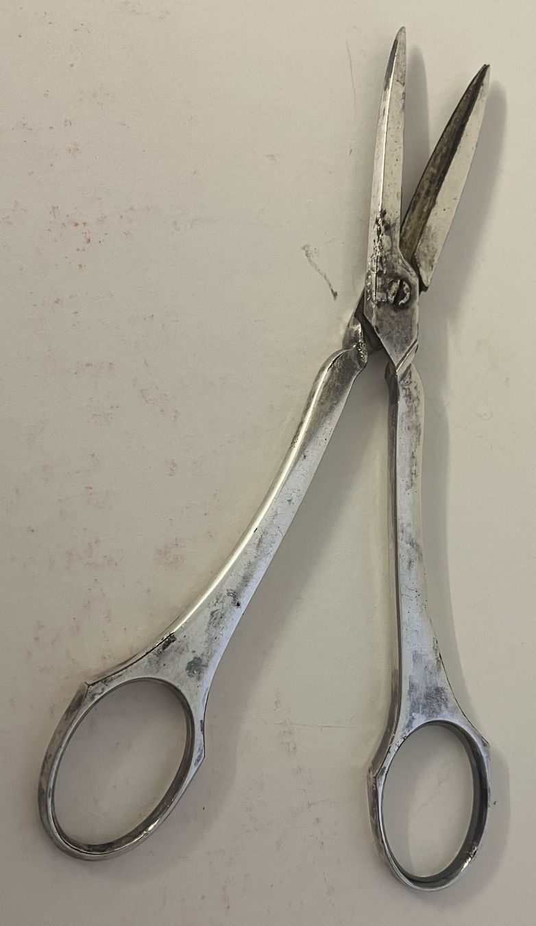 Elettrodomestici da cucina: TRAUBENSCHERE – Usato da Oberwil BL venduto da SALOB 2