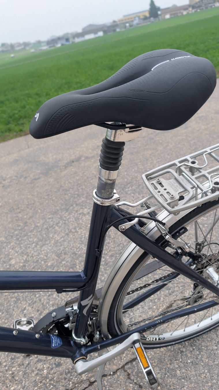 Specialized Biciclette: Specialized Globe Damenvelo  – Usato da Menziken venduto da ezadinho 4