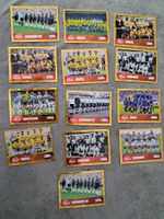 13 x Paninisticker 2026 / Manschaften