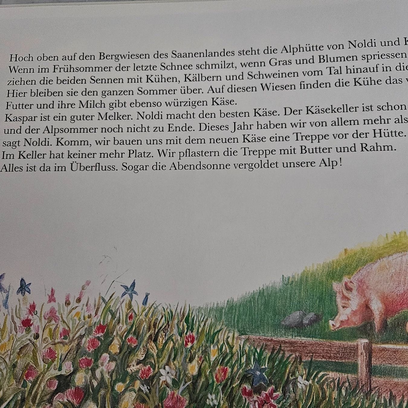 Libri: MANNLI    Werner Jutzeler – Nuovo (secondo la descrizione) da Uster venduto da Sonnenblume212 4
