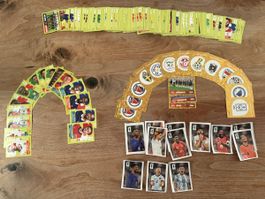 216 Panini Sticker WM 2026