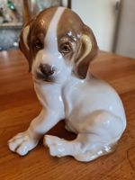 Nymphenburg Porzellanfigur Welpe Th . Kärner
