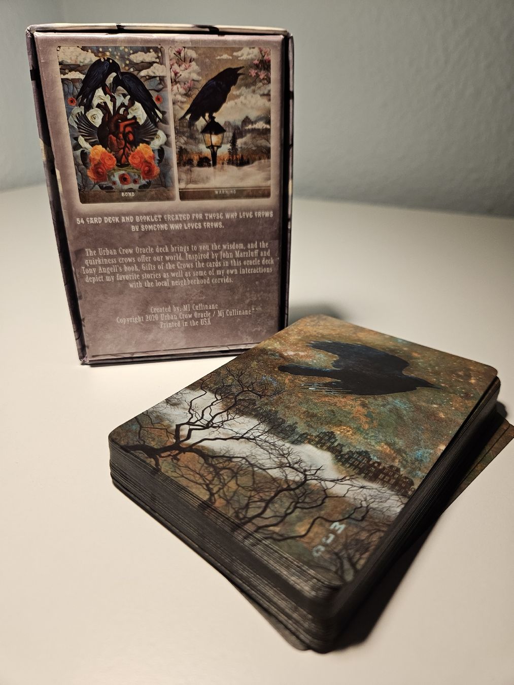 Libri: Urban Crow Oracle – Usato da Nuglar venduto da mjc_cw9f 2