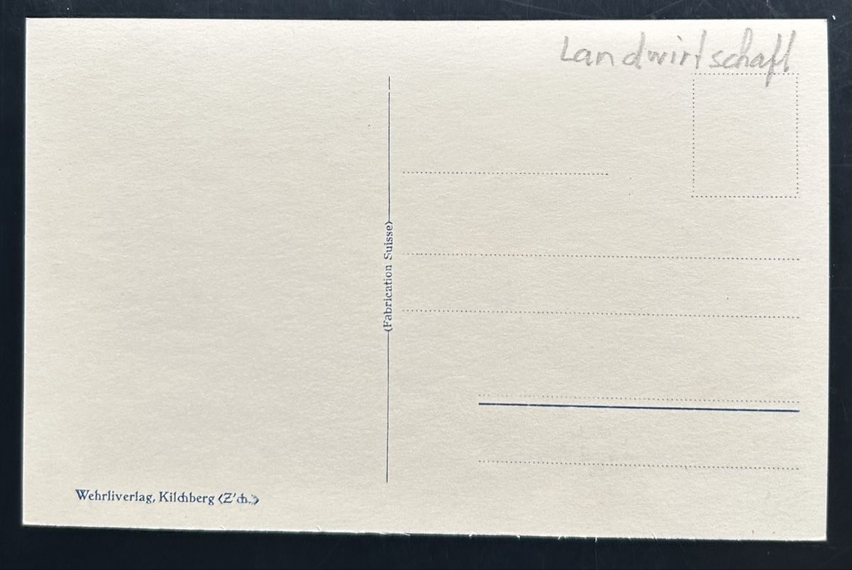 Cartoline postali: Heuernte bei Lenk  – Usato da Horw venduto da Tellbub 1