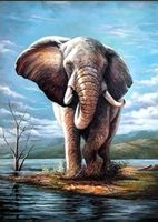 Diamant Painting Elefant 30x40cm