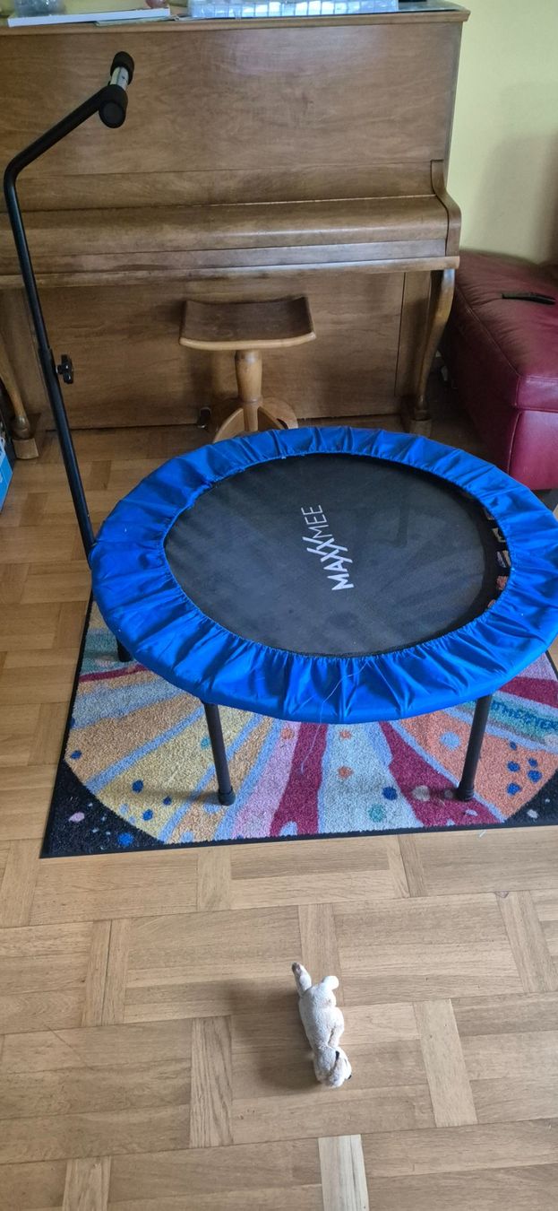 Trampolini: Trampolin für zu Hause / indoor – Usato da Mägenwil venduto da consumer2008