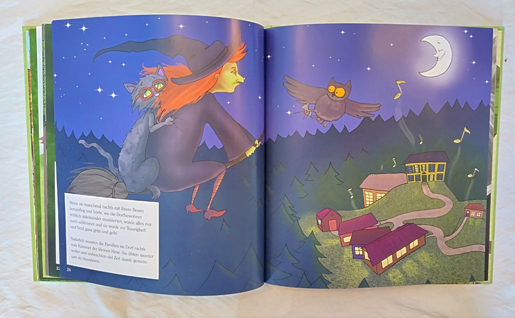 Libri: Die Hexe und der Maestro - Bilderbuch mit CD ab Fr. 8.- – Usato da Bellach venduto da JingleJerry 6