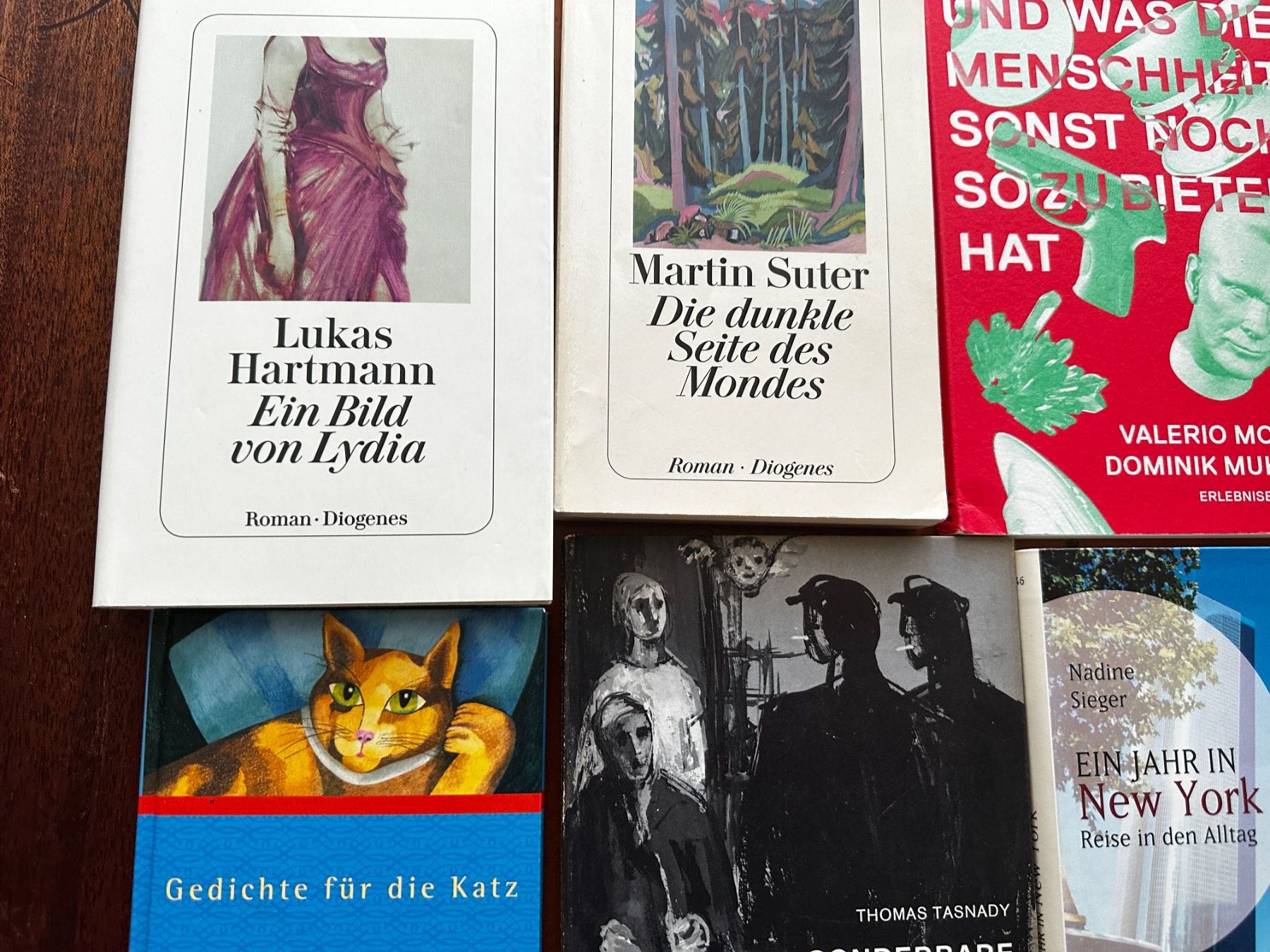Bücher: Bücherpaket Deutsch – Gebraucht aus Stäfa von deebeecee 5