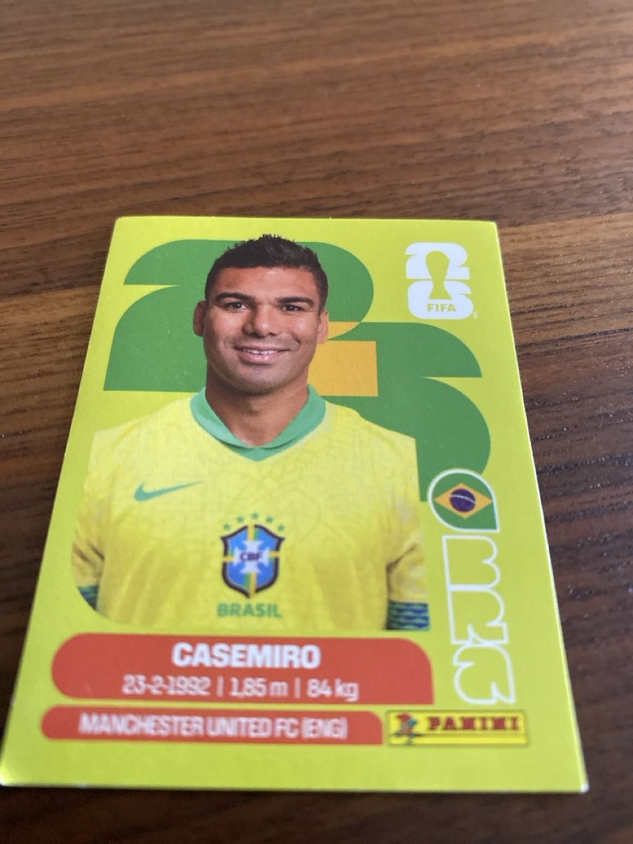 Panini Carte collezionabili: Panini BRA 10 – Usato da schafisheim venduto da soni13