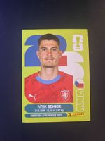 Panini FIFA World Cup Sticker CZE 20