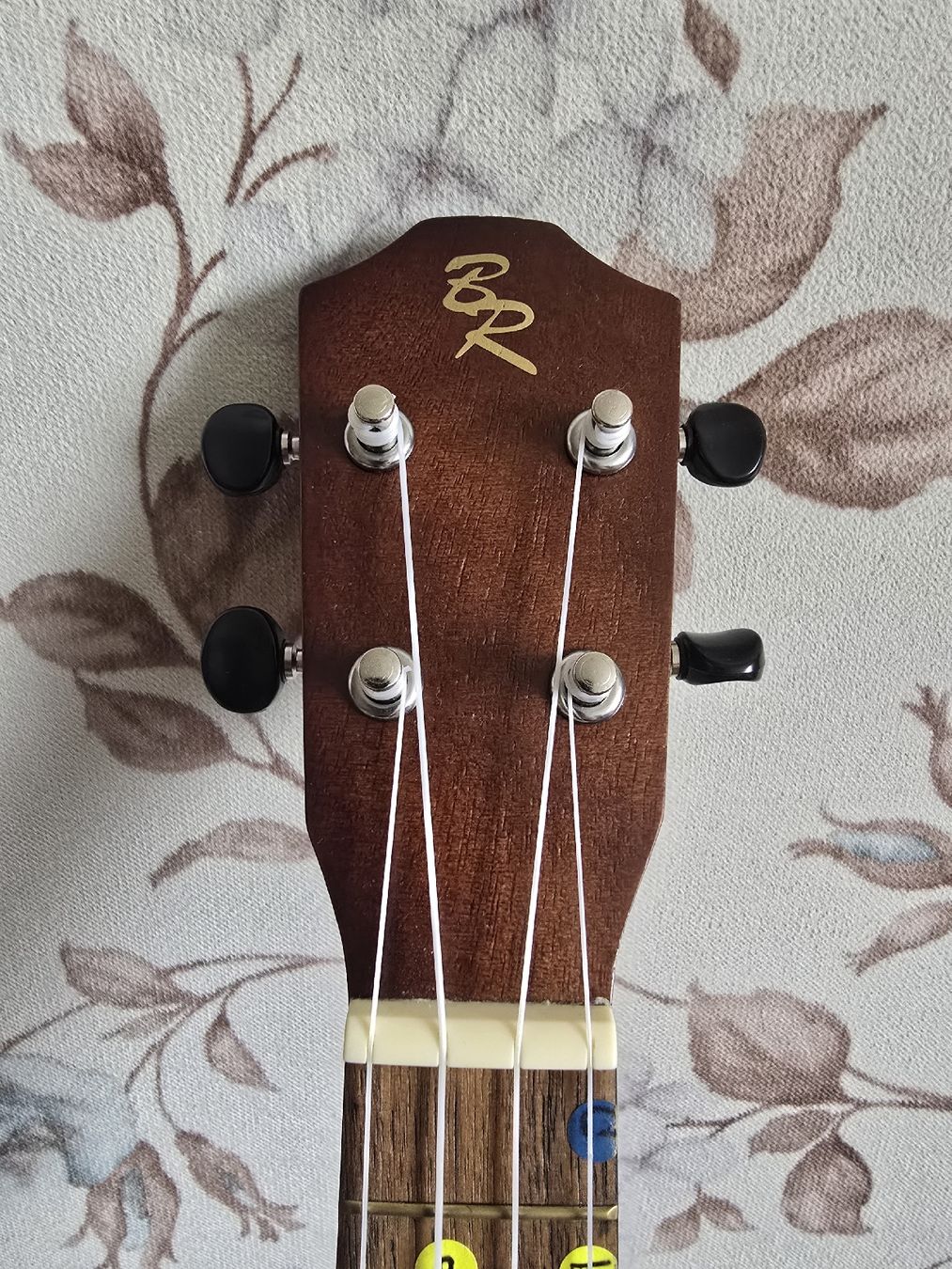 Instruments de musique: Ukulele – D'occasion à Winterthur par Peykk 1