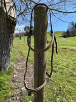 Nasen- und Stirnband mit Messingbeschlag