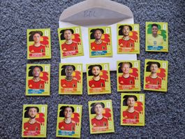 Panini WM 2026 BEL