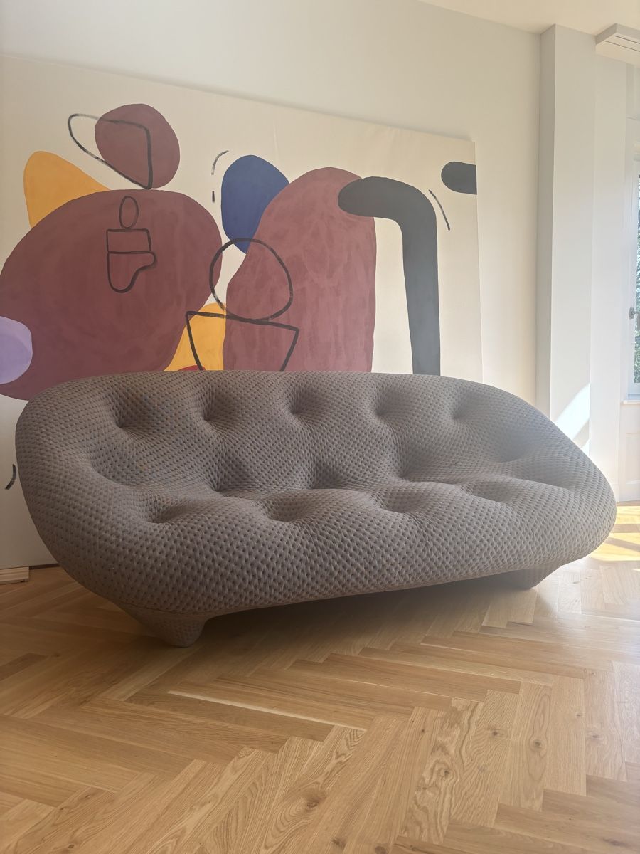 Divani: Ligne Roset Ploum Sofa 3 Sitzer – Usato da St. Gallen venduto da gab_hnx9 1