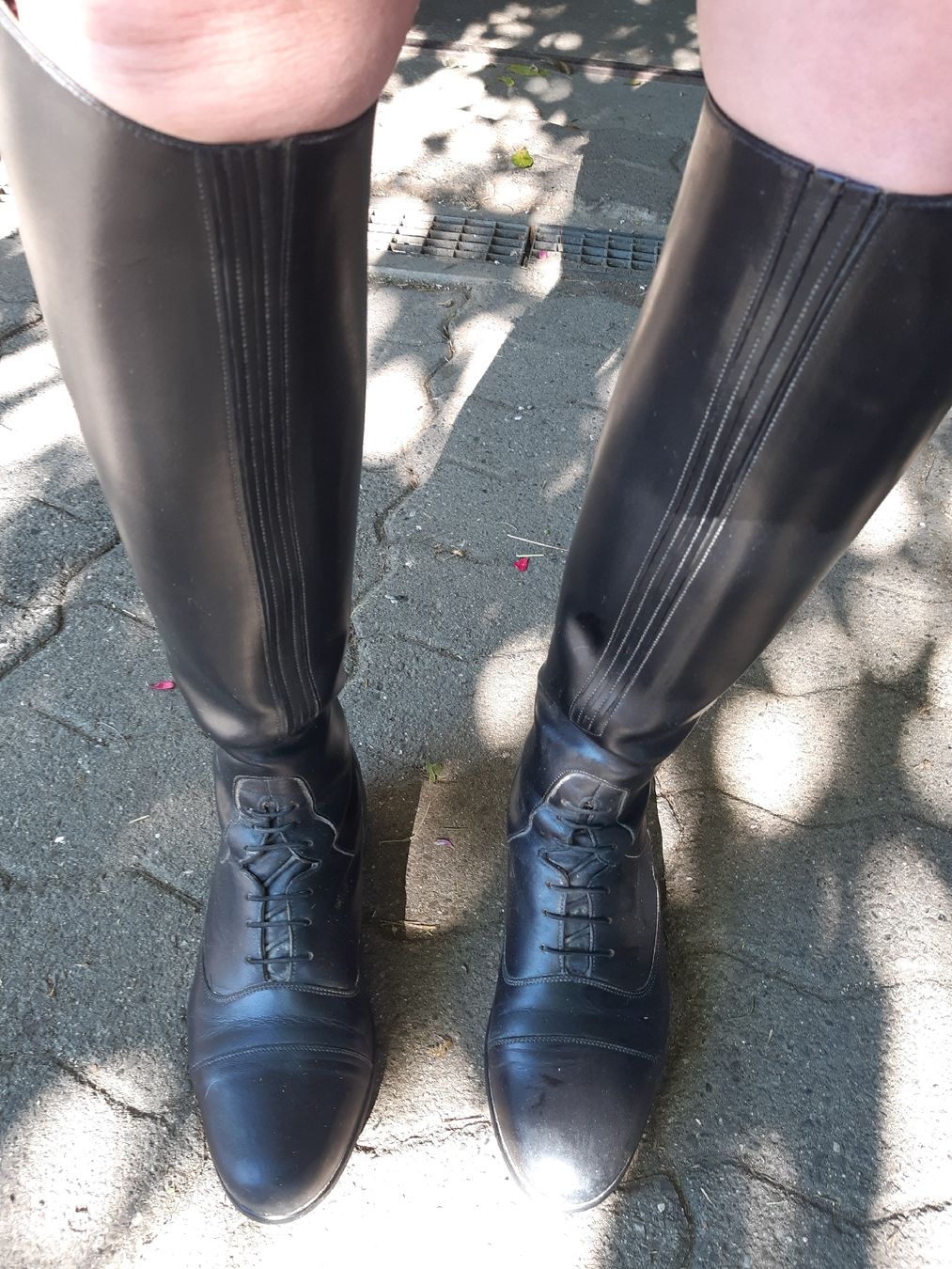 Chaussures femmes: sergio grasso reitstiefel – D'occasion à Nebikon par Haidihooo