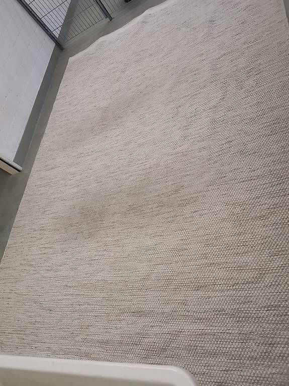 Teppiche: Teppich beige – Gebraucht aus Wettingen von IvyP 3