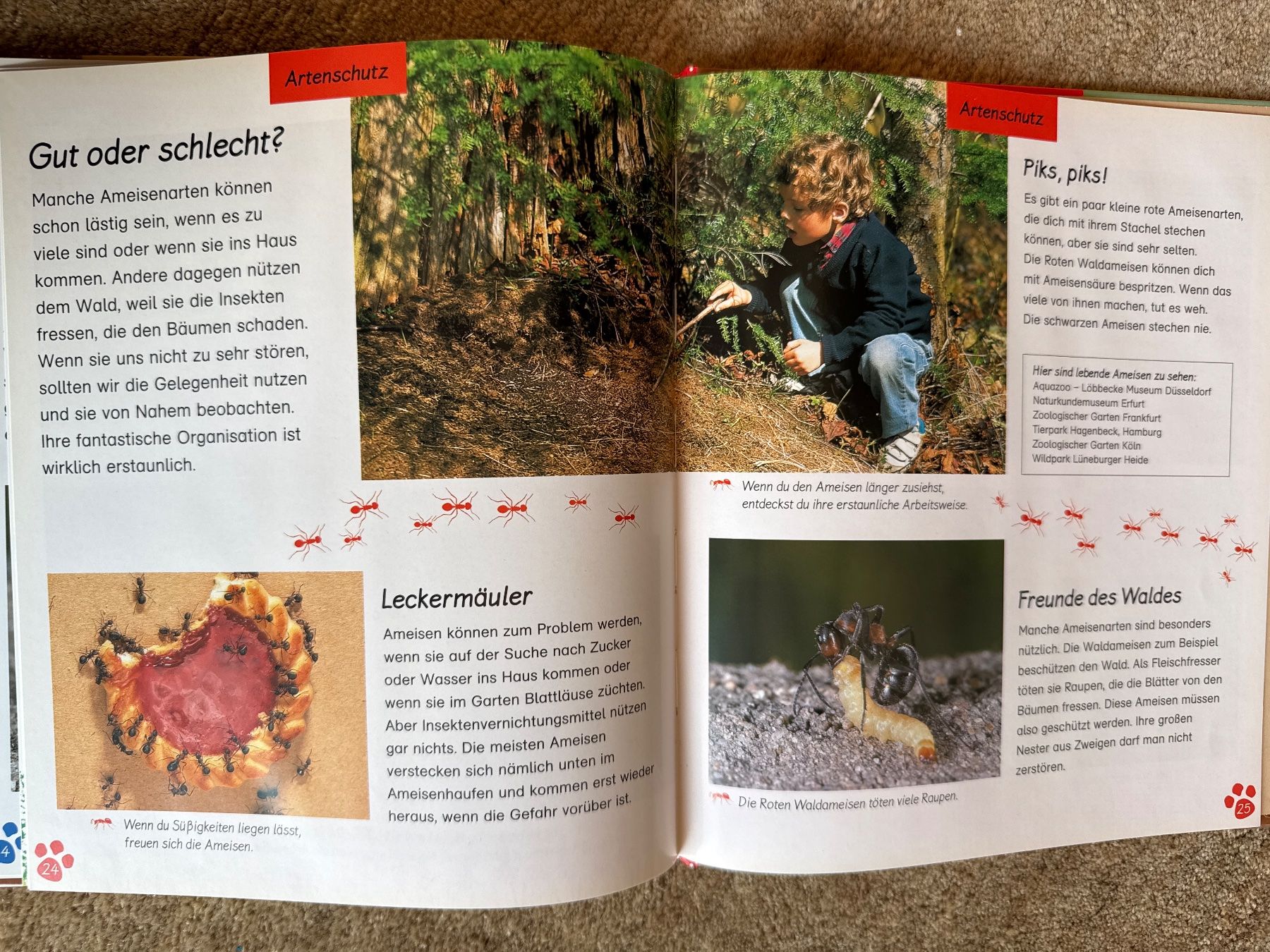 Libri: Die Ameise - Meine grosse Tierbibliothek - esslinger – Nuovo (secondo la descrizione) da Aarau venduto da Kilauea 5