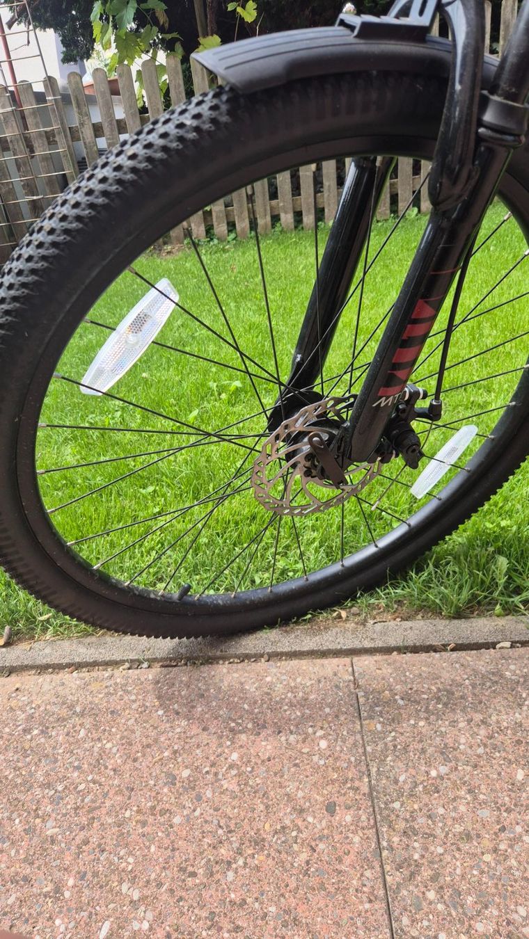 Leopard Velos: Velo Leopard – Gebraucht aus Zufikon von mikekochi 3