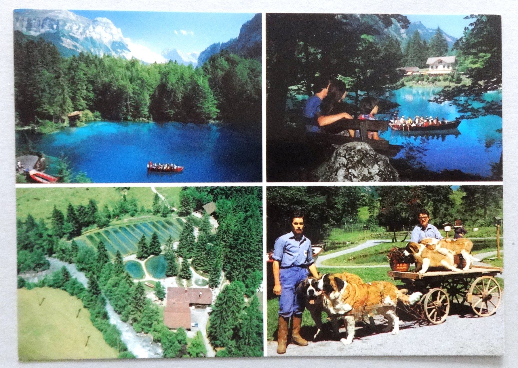 Ansichtskarten: Blausee - Lac Bleu (900 m ü.M.) – Gebraucht aus Fétigny von Billy2miny