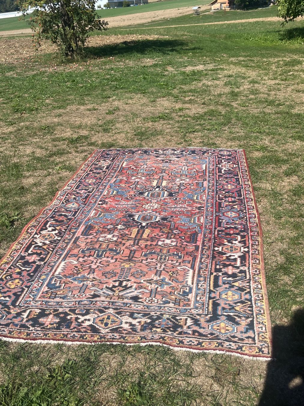 Tappeti: Orient Teppich Handgeknüpft – Usato da Allmendingen b. BE venduto da juair 6