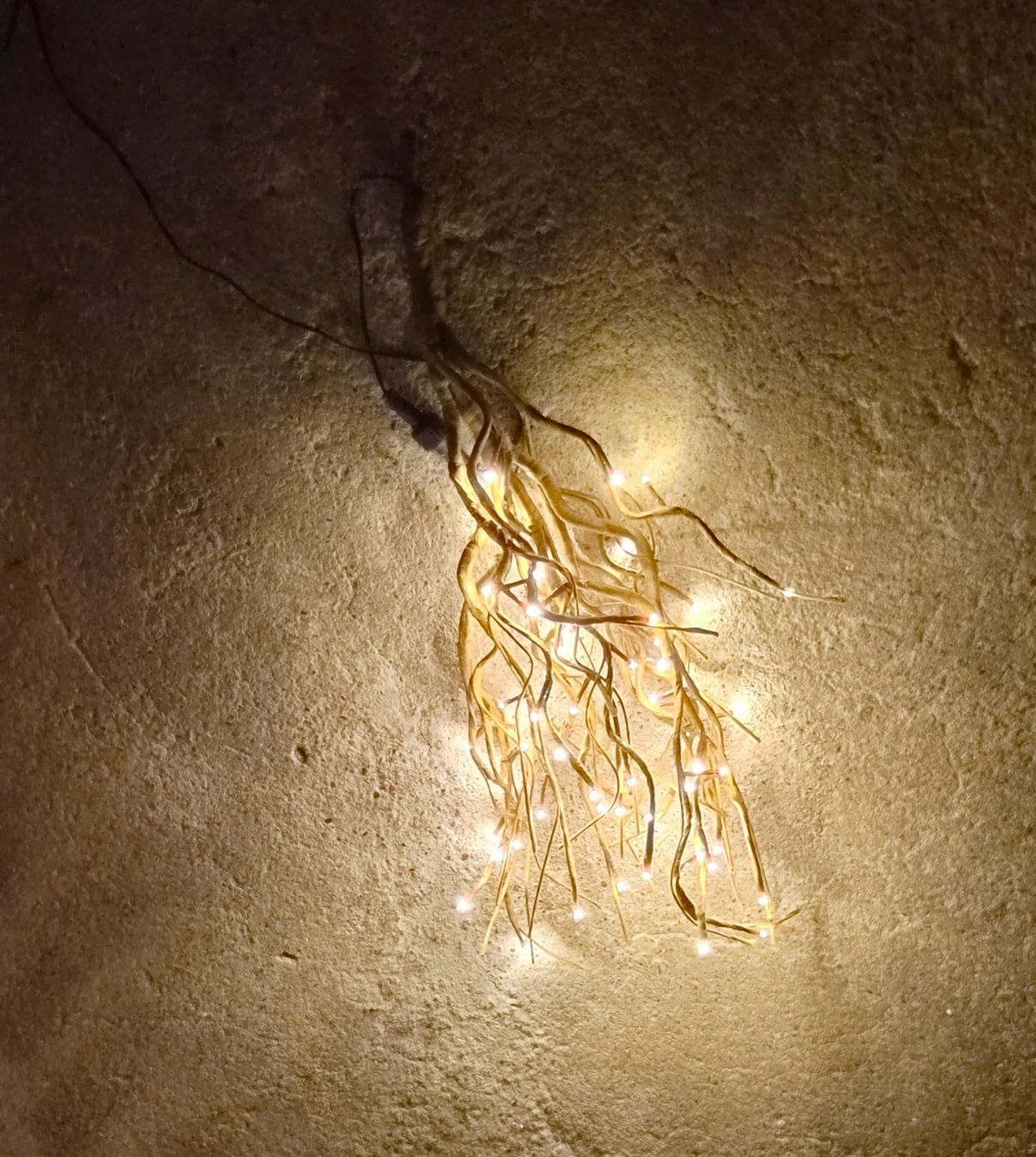 Alle Dekorationen: Dekozweig mit LED Lichtern, warmweiss, ca. 60cm – Gebraucht aus Zürich von Primanoctis