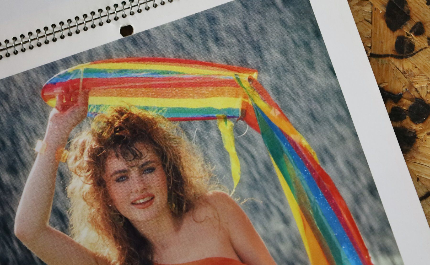 Playboy Calendari: PLAYBOY Kalender 1987 – Usato da Birrwil venduto da brandschatz_birrwil 3