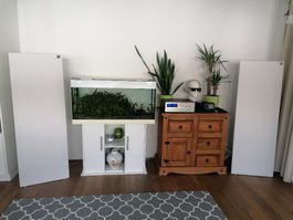 Magnepan 1C