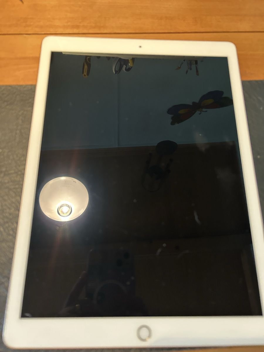 Apple Tablet PC: Ipad Pro 12.9 Zoll A1584 – Gebraucht aus Mollis von Stern8577 2