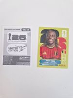 Panini Sticker BEL16