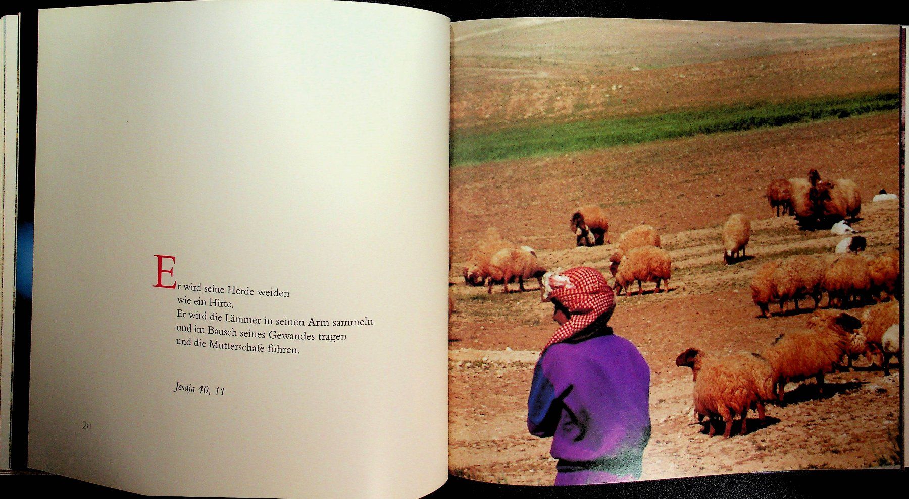 Libri: Hans Freudenberg Hirtenträume Ein  Weihnachtsbuch – Usato da Reitnau venduto da Zaomir 7