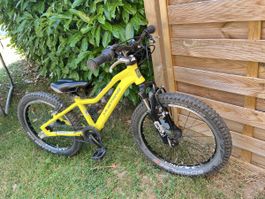 Fury SL Belt 20 Zoll Kinderbike