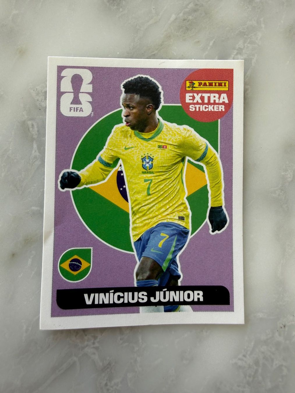Panini Carte collezionabili: Panini Moises Caicedo silber und Vinicius Junior – Nuovo (secondo la descrizione) da St. Moritz venduto da brauchenplatz 1