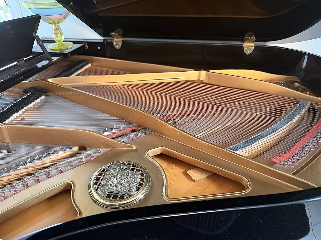 Strumenti musicali: Petrof Flügel hochglanz – Usato da Weggis venduto da urs_rj7p 1