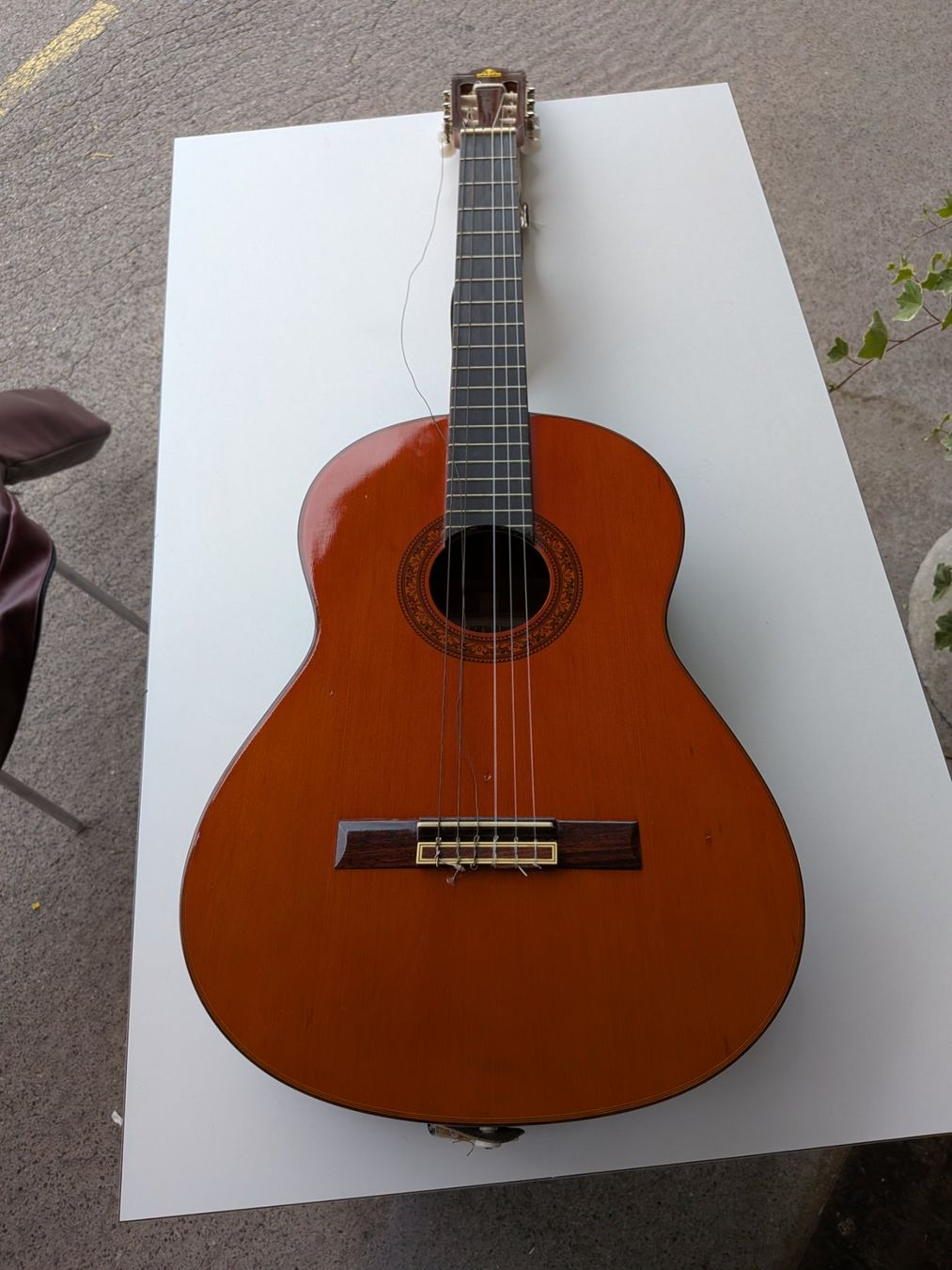 Strumenti musicali: Gitarre Takeharu – Usato da Emmen venduto da Brockofsky