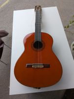 Gitarre Takeharu