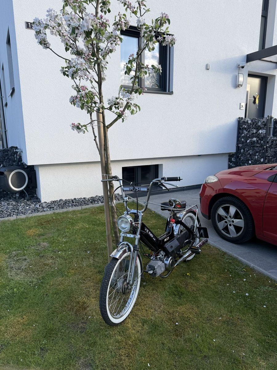 Mofas: Puch Maxi N Revidiert – Gebraucht aus Däniken SO von pet_hv5v 3