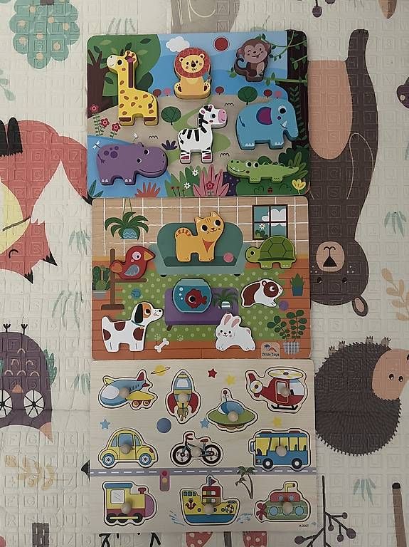 Giochi: Giochi ad incastro in legno – Usato da Cadempino venduto da Ciciuz