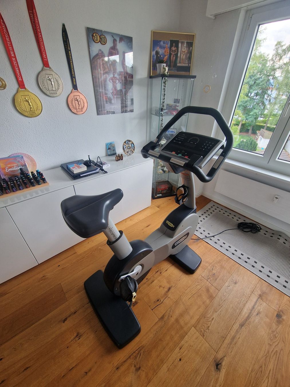Technogym Hometrainer: Techno Gym Ergobike TOP Zustand – Gebraucht aus Heerbrugg von Haris_O