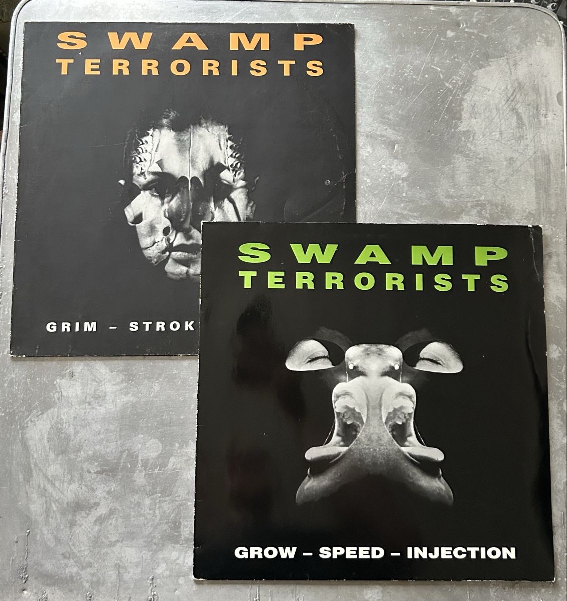 Dischi in vinile: Grim-Stroke-Disease/Grow-Speed-Injection - Swamp Terrorists – Usato da Winterthur venduto da lenolson