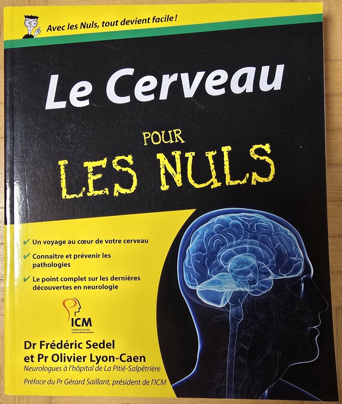 Libri: Pour les nuls : Le Cerveau – Usato da Froideville venduto da xXSebastienXx