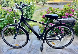 e-bike, e-totem