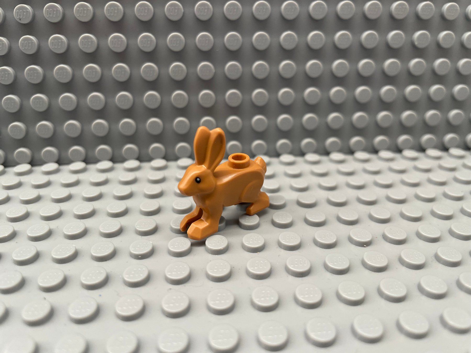 Lego Baukästen: Lego Tiere - Hase – Neu (gemäss Beschreibung) aus Horw von G39517sG