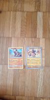 Pokémon Karten Hippopotas und Hippoterus gebraucht