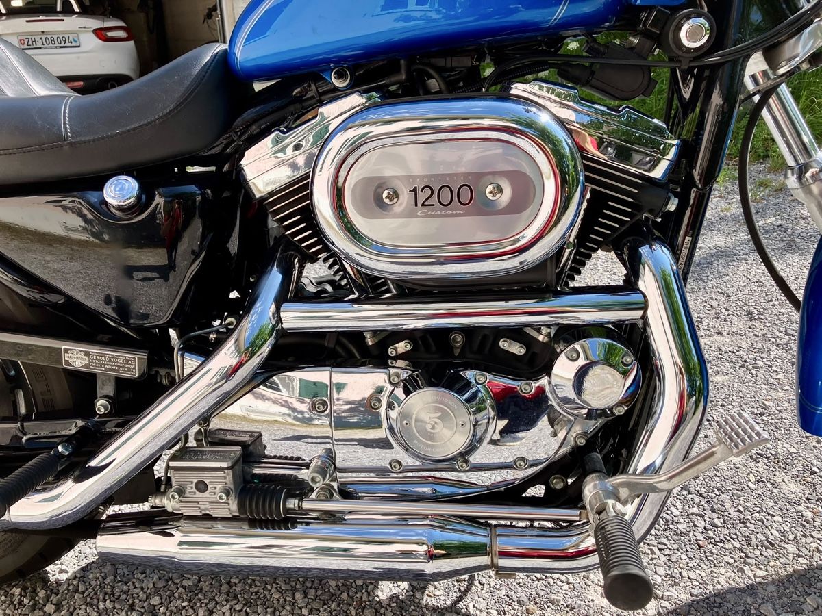 Harley-Davidson Chopper: Harley-Davidson Sportster – Gebraucht aus Winterthur von aja-8311 2