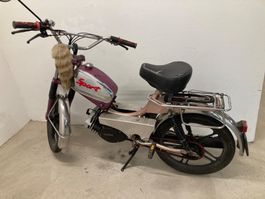 Mofa Sachs
