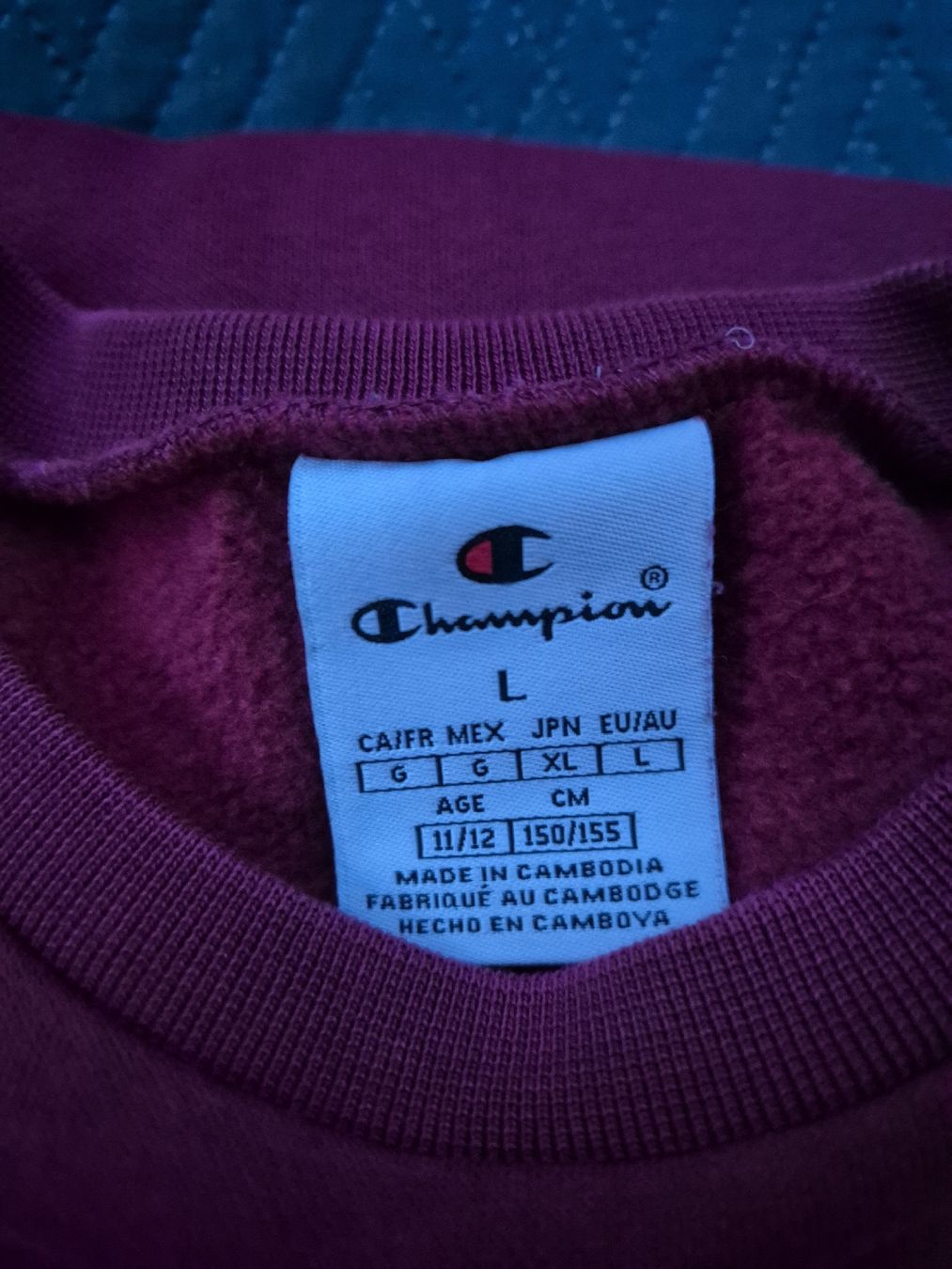 Pullover & Sweatshirts: champion  – Gebraucht aus Zürich von Zigana87 1