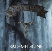 Bon Jovi Vinyl Single von 1988
