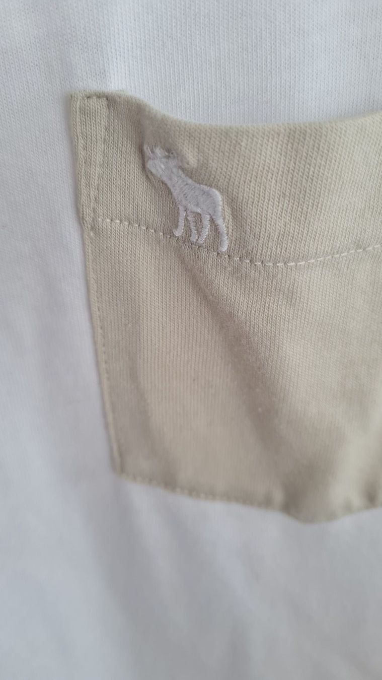 Camicie, T-shirt & Polo: Shirt Kurzarm Gr. 146 – Usato da Beinwil Freiamt venduto da tafa8 4